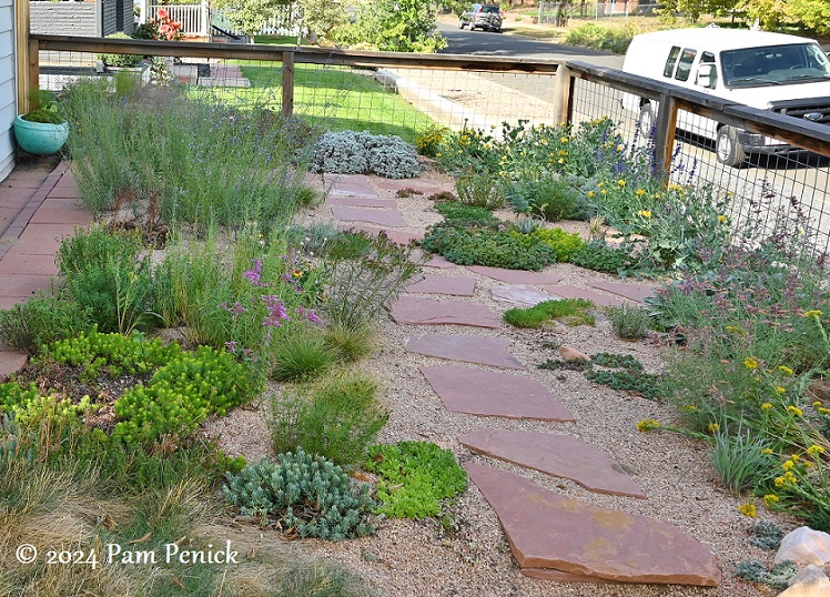 32_Xeriscape_front_garden_Fence.jpg