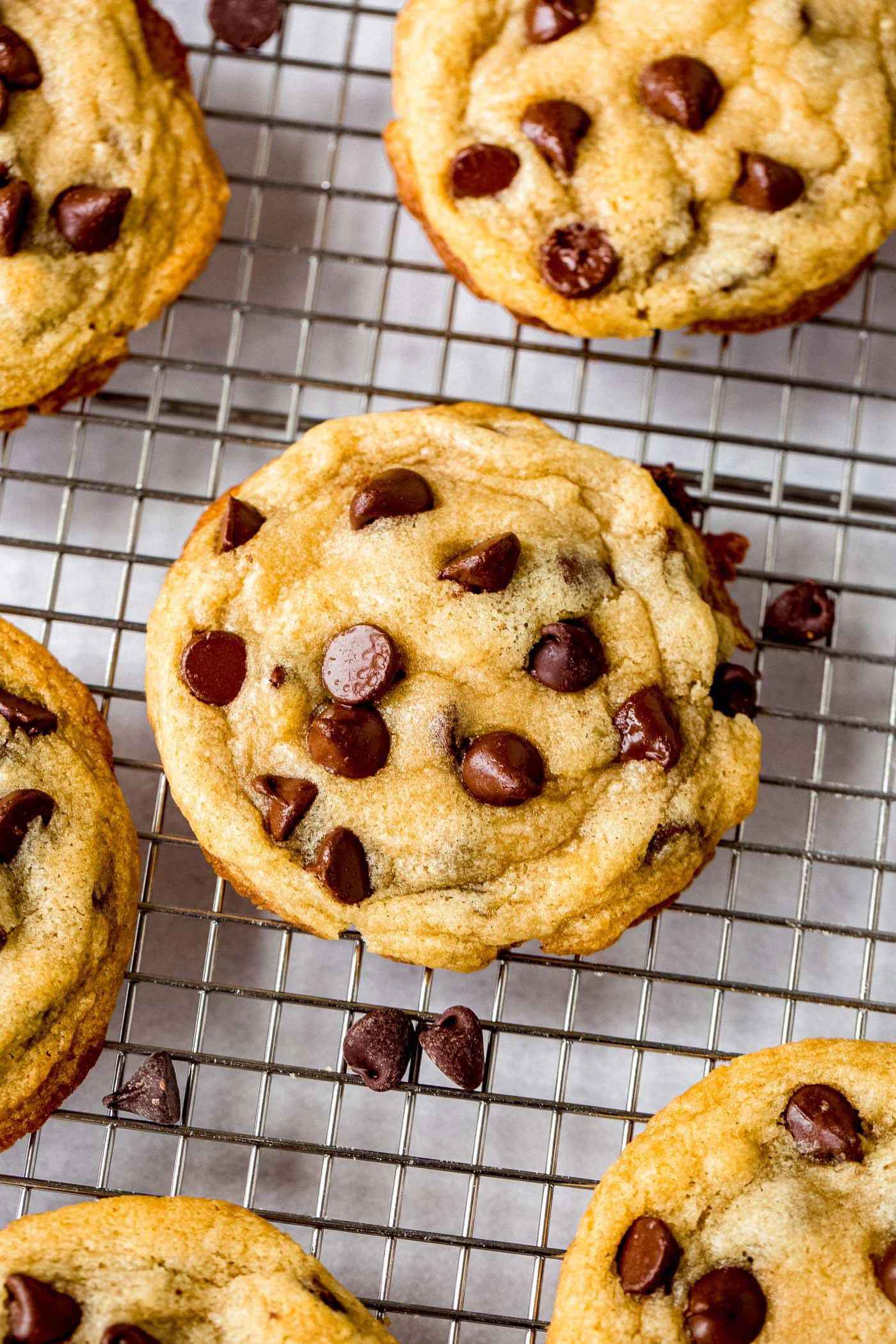 Baked chocolate chip cookies on a cooling rack.