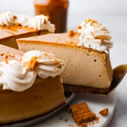biscoff_cheesecake-1-250x250.jpg