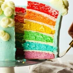 rainbow_cake-1-250x250.jpg
