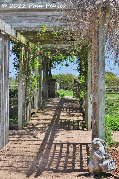 21_Pergola_Rabbit_statuary.jpg