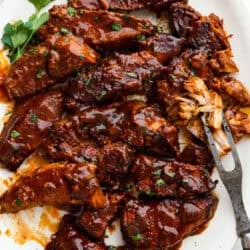slow-cooker-boneless-pork-ribs-5-250x250.jpg