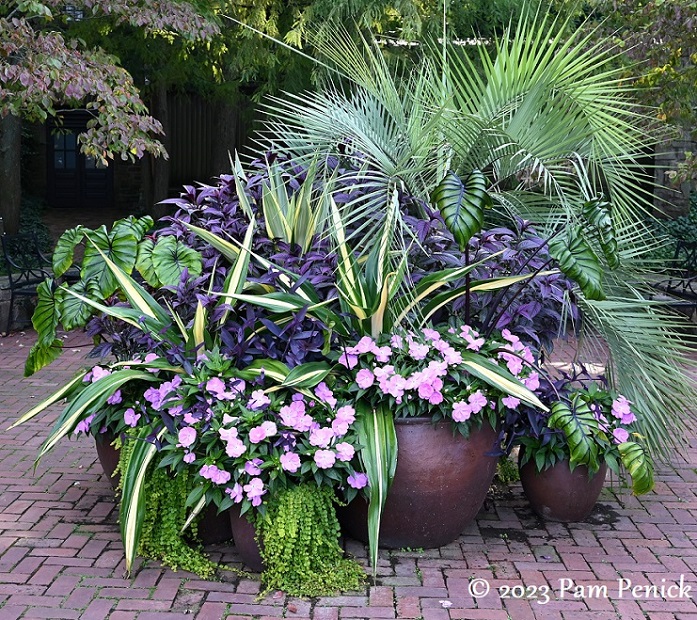 33_Tropical_containers.jpg