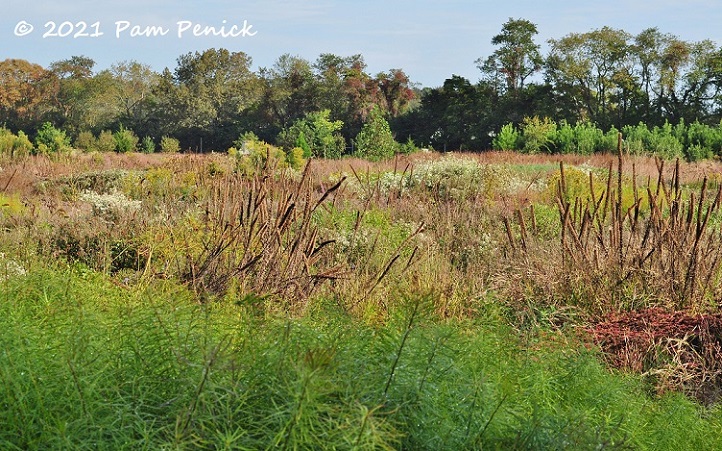 32_Meadow_autumn.jpg