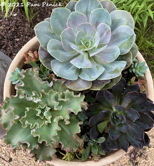 18_Succulent_planter.jpg