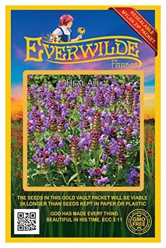 Everwilde Farms - 2000 Heal All Native Wildflower Seeds - Gold Vault Jumbo Seed Packet