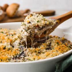 mushroom-casserole--250x250.jpg
