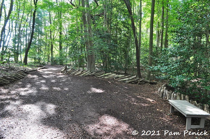 51_Woodland_path_Bench.jpg