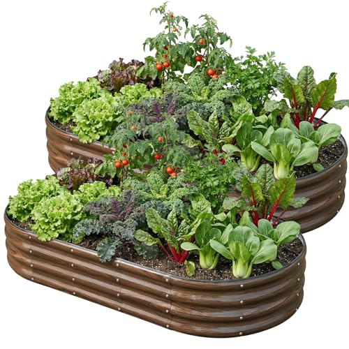 Snugniture 2 Pcs 6x3x1ft Raised Garden Bed Kit, Outdoor Oval Metal Garden Planter, Ground Planter Box for Gardening Vegetables Flowers, Brown