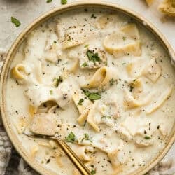 chicken-alfredo-soup-hero-250x250.jpg