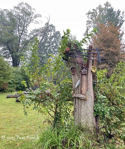 67_Northview_stump.jpg