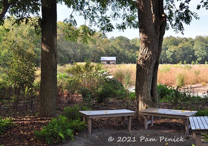43_Benches_Meadow_view.jpg