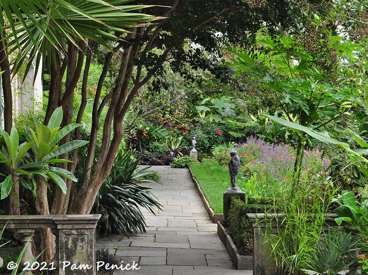 59_Tropical_plants_path.jpg