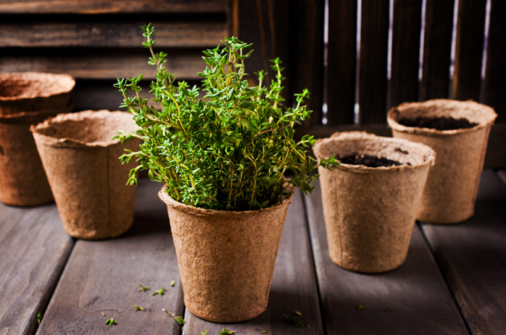 Containers for herbs and vegetables