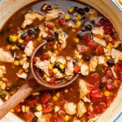 8-can-chicken-enchilada-soup--250x250.jpg