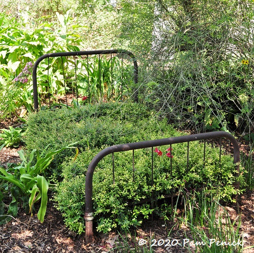 08_Garden_bed.jpg