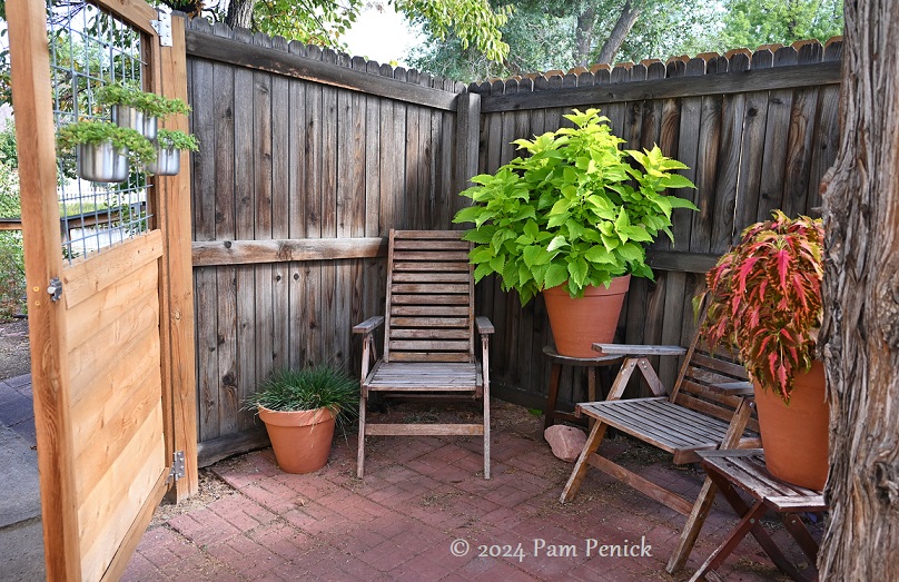 30_Patio_garden_containers.jpg