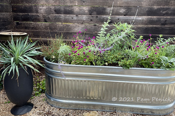 11_Cattle_trough_planter.jpg