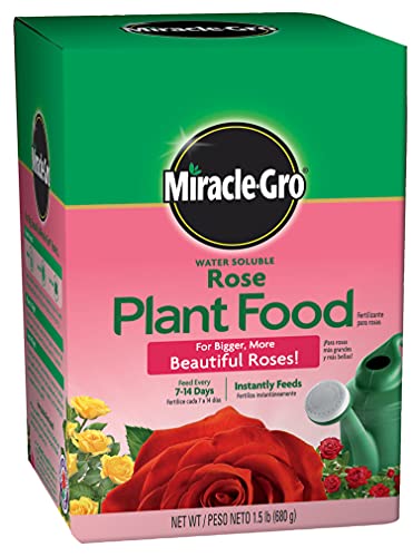 Miracle-Gro Rose Plant Food, 1.5-Pounds (rose Fertilizer)