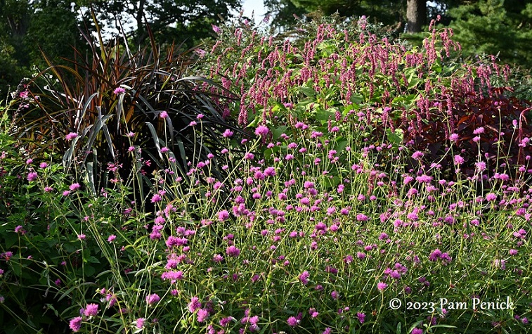 27_Pink_flower_border.jpg