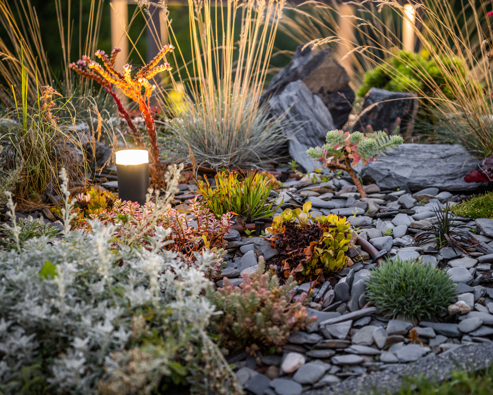 rock garden design with succulents, ornamental grass, boulder and river rocks, lit by a bollard light