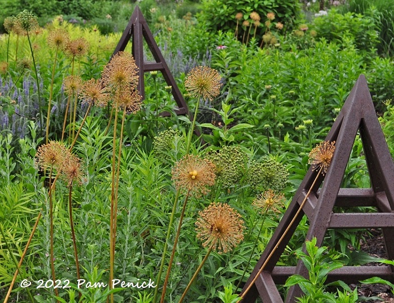 02_Alliums_Tuteurs.jpg