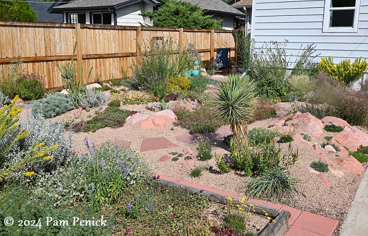 15_Crevice_garden_yucca.jpg