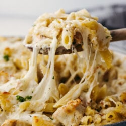 bakedchickenalfredopasta-2-250x250.jpg