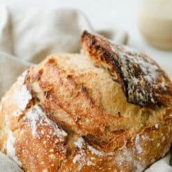 sourdoughbread-250x250.jpg