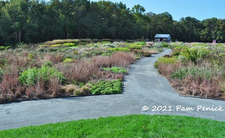 12_Meadow_view_Path.jpg