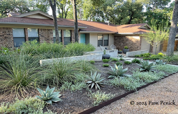 03_Xeriscape_no_lawn_front_garden-1.jpg