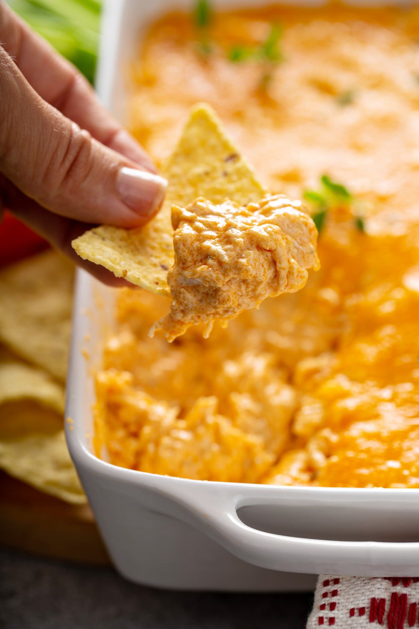 A chip that has been dipped in buffalo chicken dip. There is shredded chicken and melted cheese on the chip. More chips are in the background.