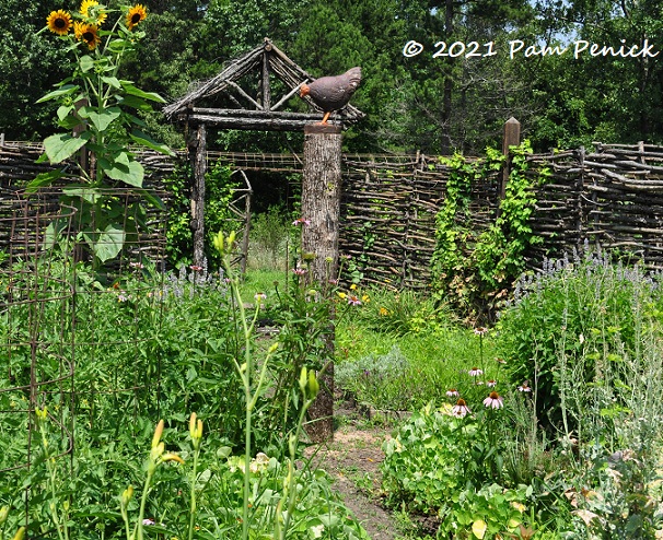 35_Decorative_chicken_veg_garden.jpg