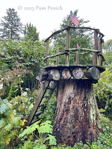 01_Treehouse_on_stump.jpg