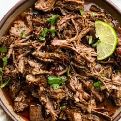slow-cooker-beef-barbacoa-2-1-250x250.jpg