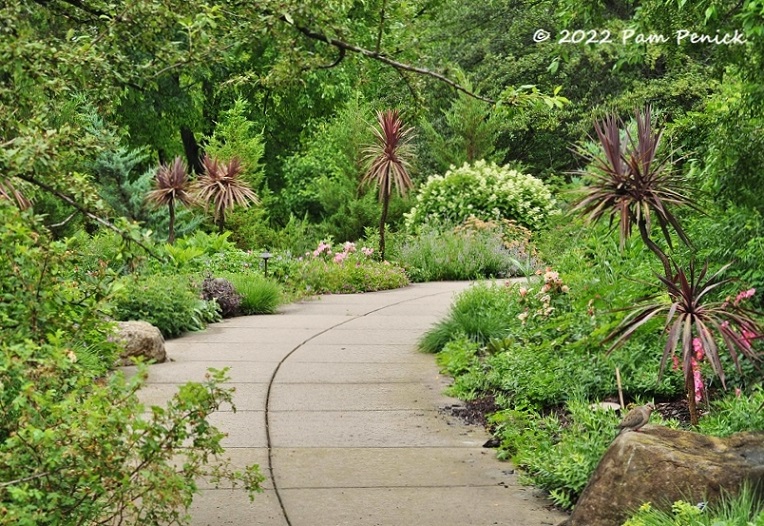 34_Cordylines_Curving_path.jpg