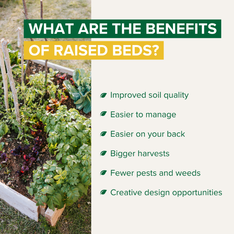 Espoma-Raised-Bed-Garden-1.png