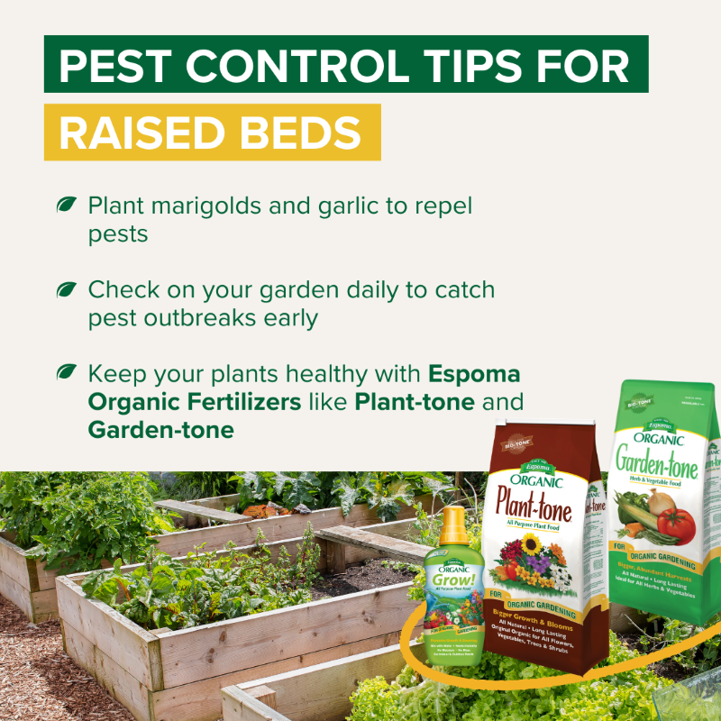 Espoma-Raised-Bed-Garden-4.png