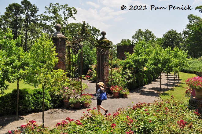 41_Rose_garden_gates_trees.jpg