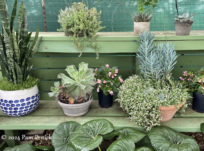 18_Succulent_pots.jpg