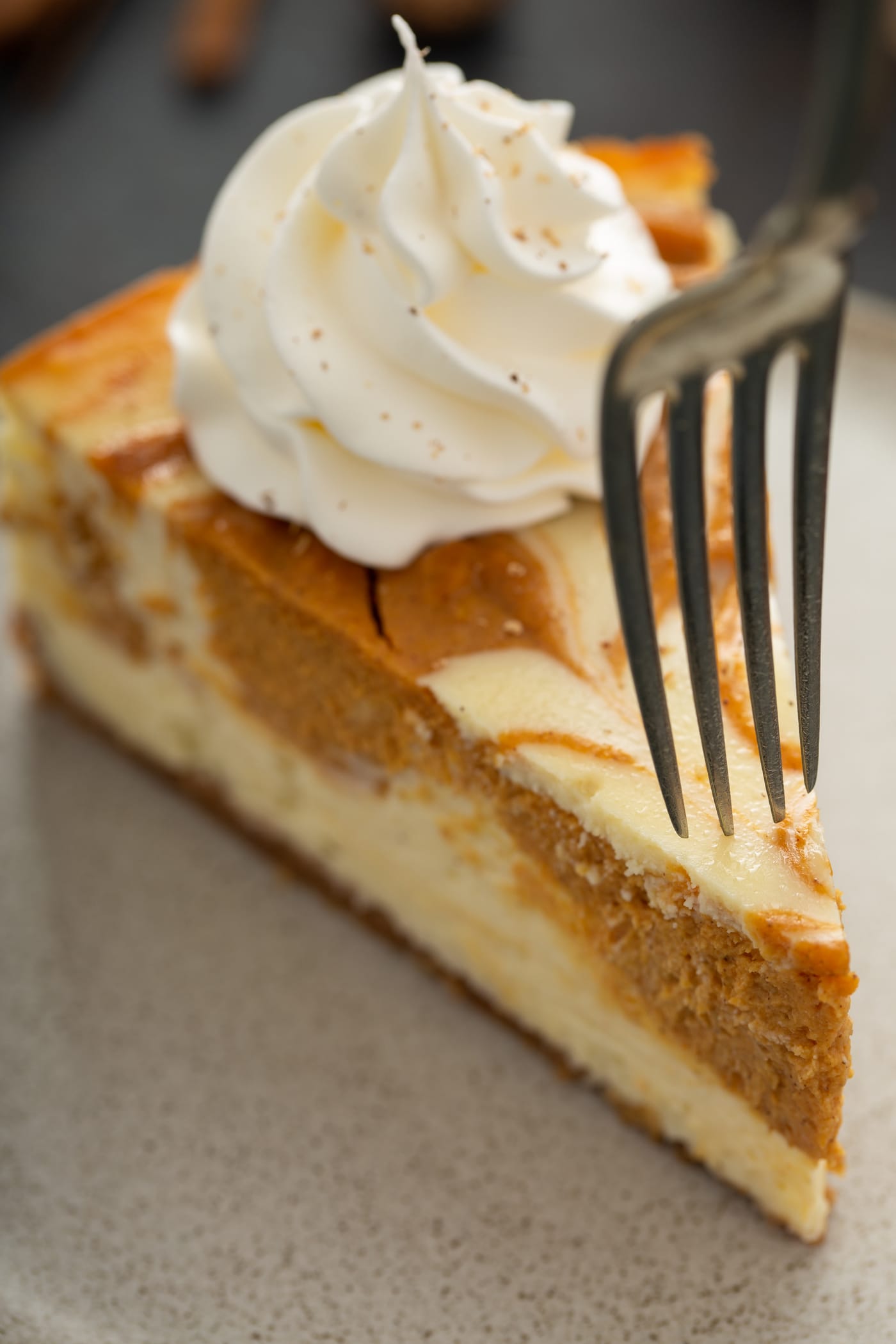 A slice of swirled pumpkin cheesecake topped with a dollop of whipped cream. A fork is piercing the piece of cheesecake.