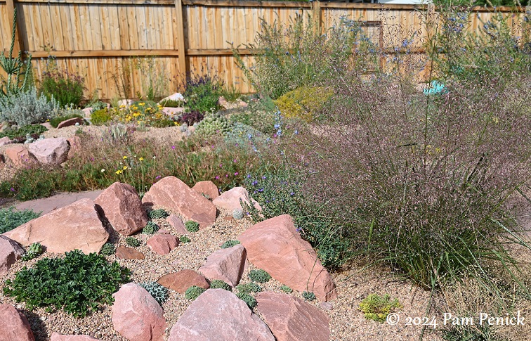 08_Muhly_grass_Crevice_garden.jpg