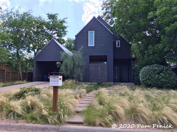 Mexican_feathergrass_front_yard-1.jpg