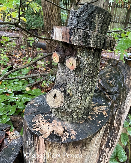 75_Log_head.jpg
