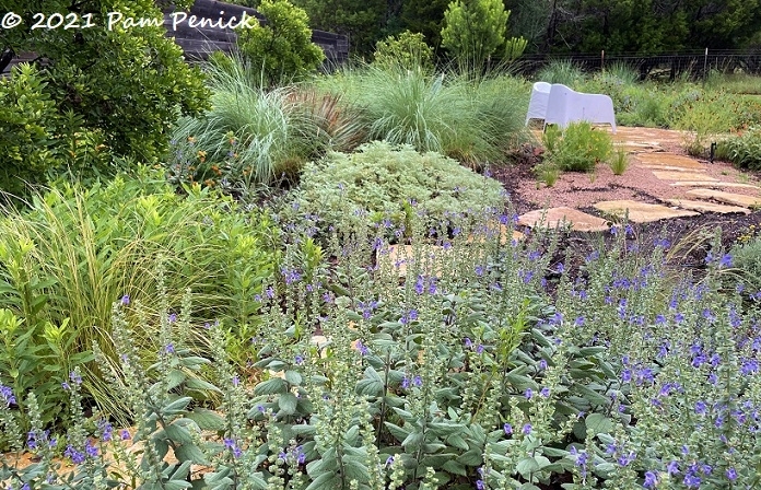 12_Front_garden_path_patio.jpg