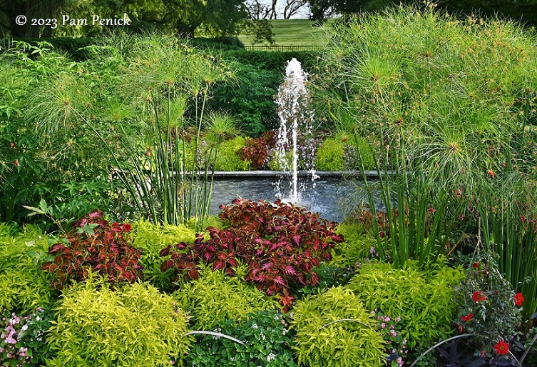 18_Square_fountain_Papyrus.jpg