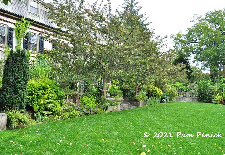 34_Lawn_border_house.jpg