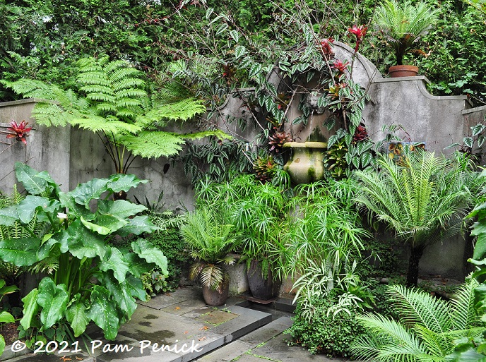 53_Fountain_wall_plants.jpg