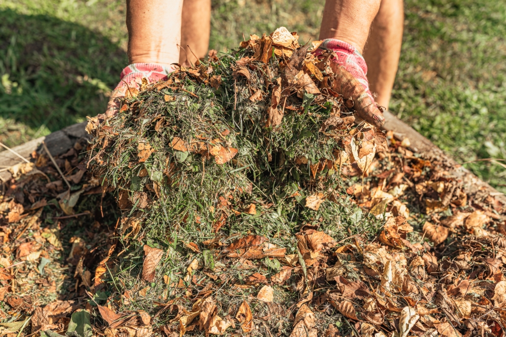 Winterize-Your-Lawn-Image-4-1030x687.jpg