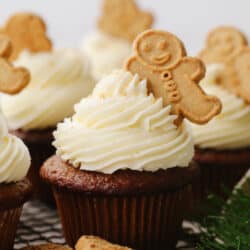 gingerbreadcupcakes--250x250.jpg